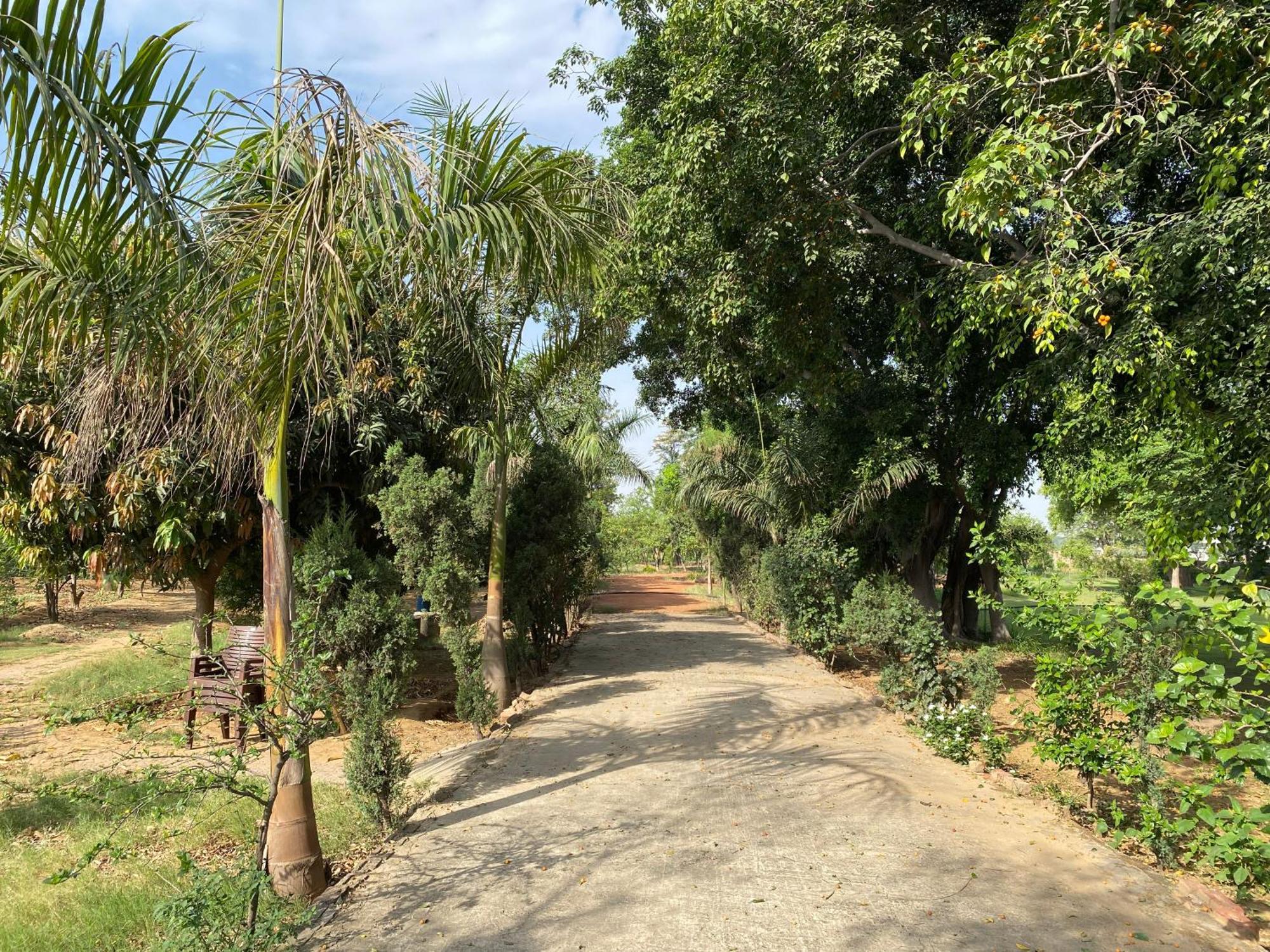 Orchard At Sarai Villa Gurgaon Buitenkant foto